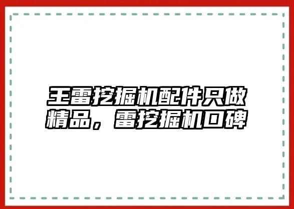 王雷挖掘機配件只做精品，雷挖掘機口碑