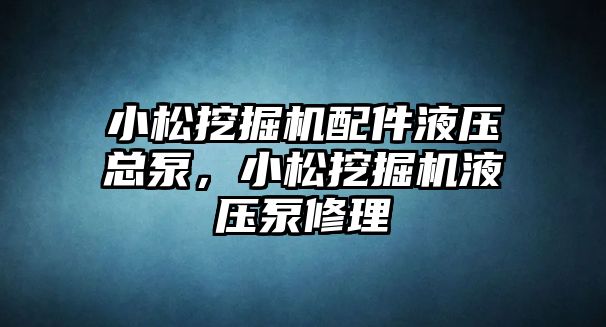 小松挖掘機配件液壓總泵，小松挖掘機液壓泵修理