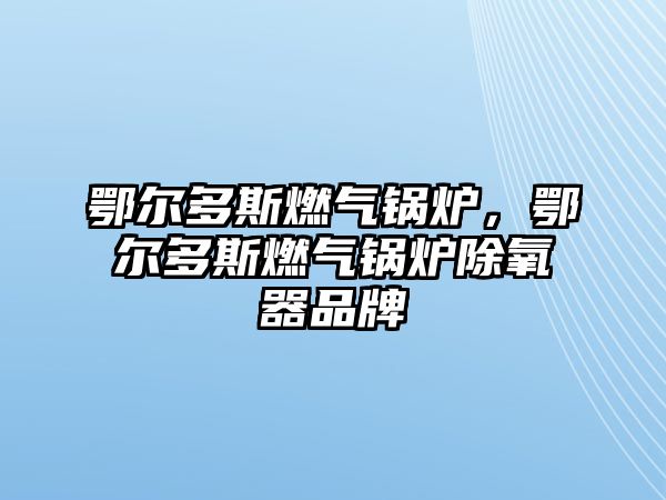 鄂爾多斯燃?xì)忮仩t，鄂爾多斯燃?xì)忮仩t除氧器品牌