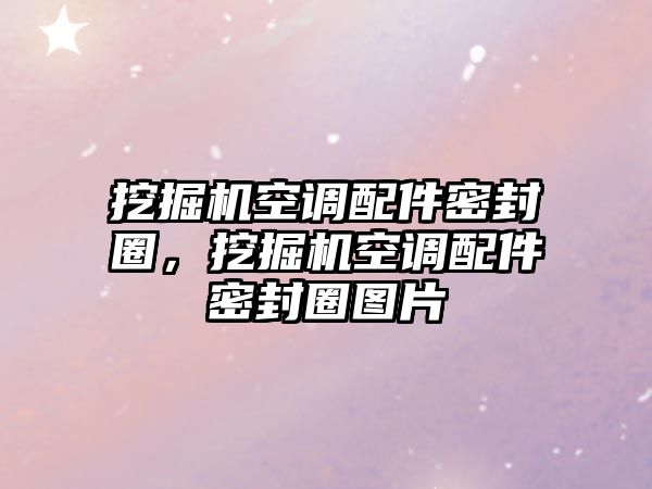 挖掘機(jī)空調(diào)配件密封圈，挖掘機(jī)空調(diào)配件密封圈圖片