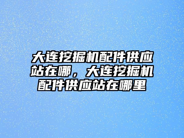 大連挖掘機(jī)配件供應(yīng)站在哪，大連挖掘機(jī)配件供應(yīng)站在哪里