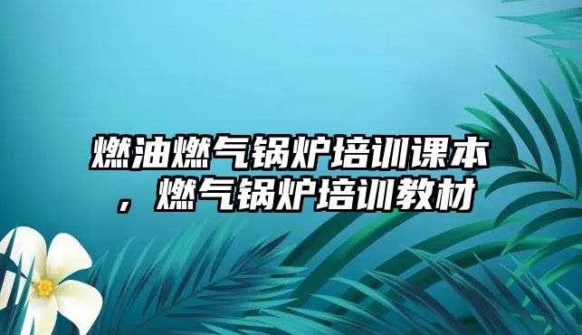 燃油燃?xì)忮仩t培訓(xùn)課本，燃?xì)忮仩t培訓(xùn)教材