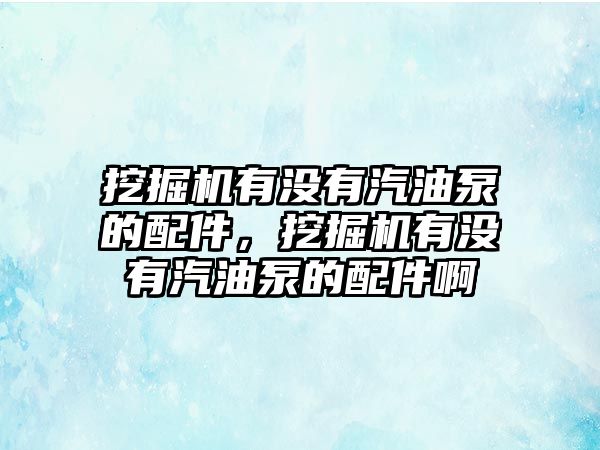 挖掘機(jī)有沒有汽油泵的配件，挖掘機(jī)有沒有汽油泵的配件啊