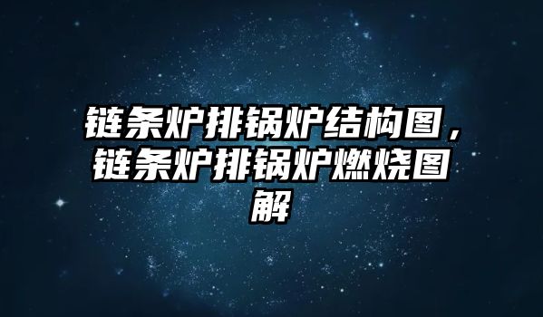 鏈條爐排鍋爐結(jié)構(gòu)圖，鏈條爐排鍋爐燃燒圖解