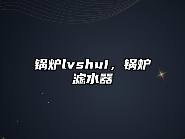 鍋爐lvshui，鍋爐濾水器