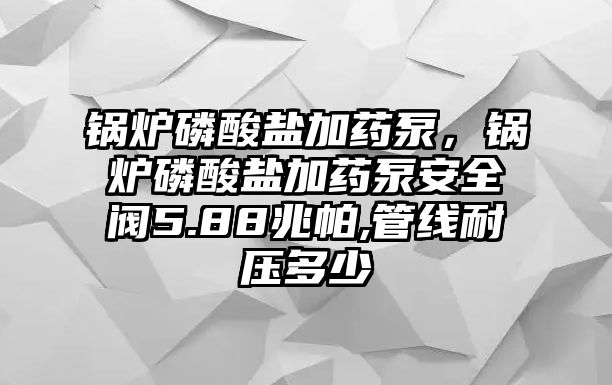 鍋爐磷酸鹽加藥泵，鍋爐磷酸鹽加藥泵安全閥5.88兆帕,管線耐壓多少