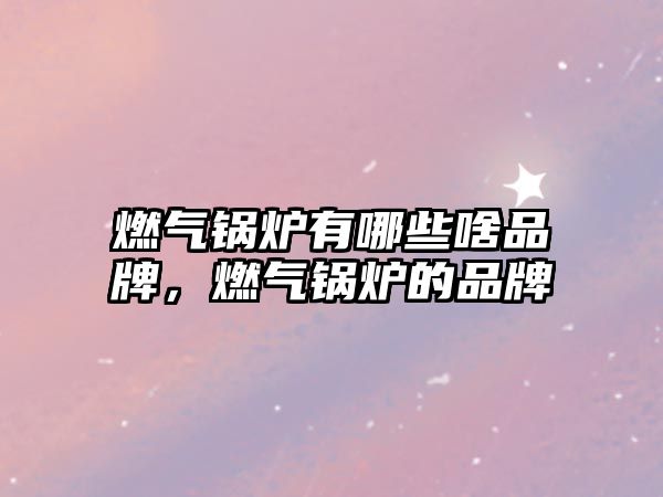 燃?xì)忮仩t有哪些啥品牌，燃?xì)忮仩t的品牌