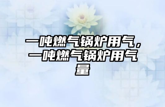 一噸燃?xì)忮仩t用氣，一噸燃?xì)忮仩t用氣量