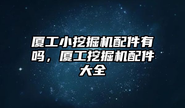 廈工小挖掘機(jī)配件有嗎，廈工挖掘機(jī)配件大全