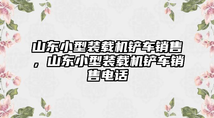 山東小型裝載機(jī)鏟車(chē)銷(xiāo)售，山東小型裝載機(jī)鏟車(chē)銷(xiāo)售電話