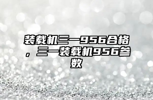 裝載機三一956合格佂，三一裝載機956參數(shù)