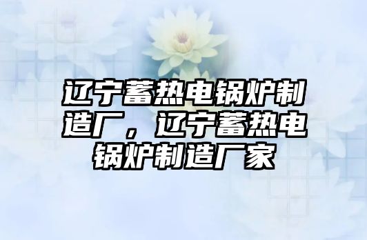 遼寧蓄熱電鍋爐制造廠，遼寧蓄熱電鍋爐制造廠家