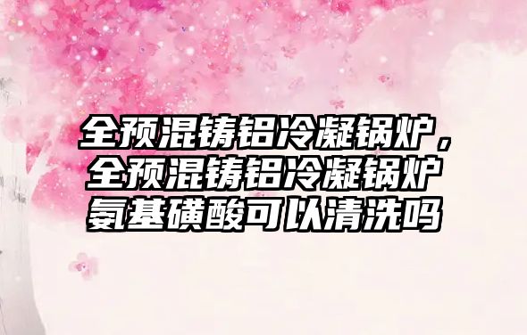 全預混鑄鋁冷凝鍋爐，全預混鑄鋁冷凝鍋爐氨基磺酸可以清洗嗎