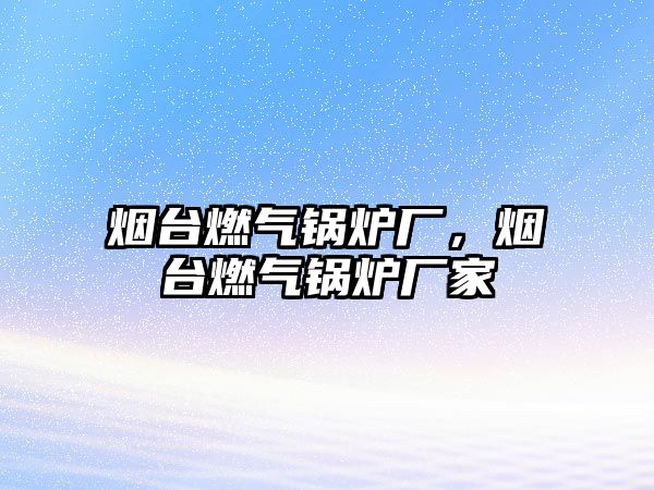 煙臺(tái)燃?xì)忮仩t廠(chǎng)，煙臺(tái)燃?xì)忮仩t廠(chǎng)家