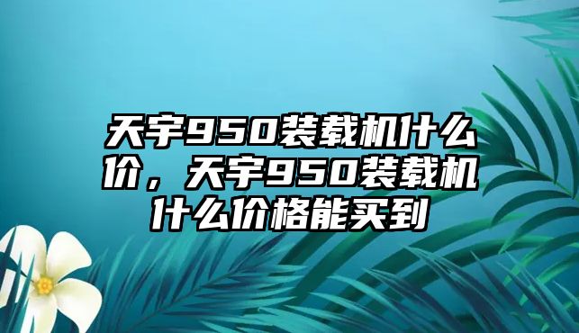 天宇950裝載機(jī)什么價(jià)，天宇950裝載機(jī)什么價(jià)格能買(mǎi)到