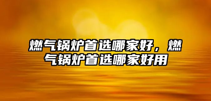 燃氣鍋爐首選哪家好，燃氣鍋爐首選哪家好用