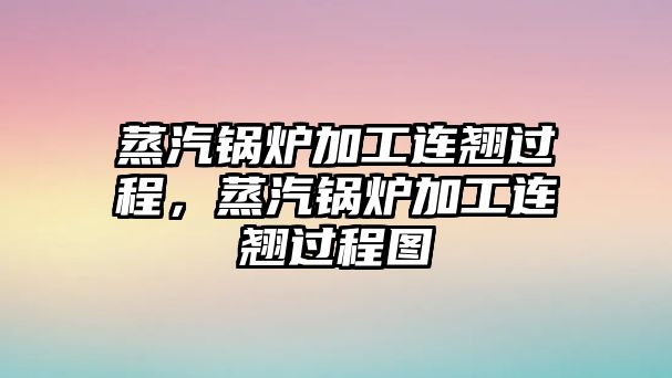 蒸汽鍋爐加工連翹過(guò)程，蒸汽鍋爐加工連翹過(guò)程圖