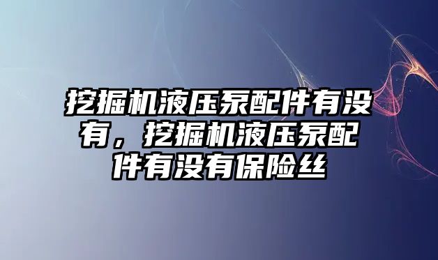 挖掘機(jī)液壓泵配件有沒有，挖掘機(jī)液壓泵配件有沒有保險絲