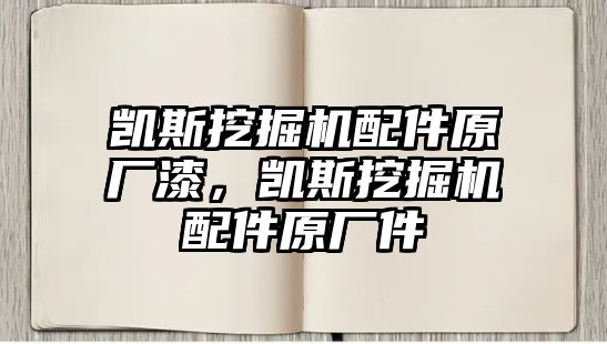 凱斯挖掘機配件原廠漆，凱斯挖掘機配件原廠件