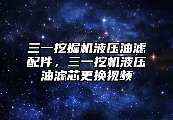 三一挖掘機(jī)液壓油濾配件，三一挖機(jī)液壓油濾芯更換視頻