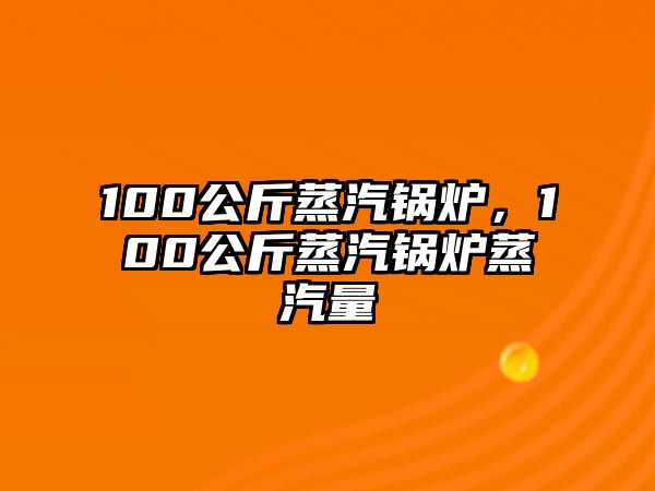 100公斤蒸汽鍋爐，100公斤蒸汽鍋爐蒸汽量