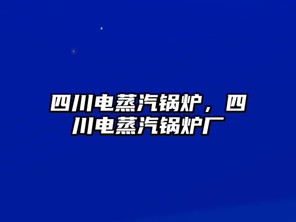 四川電蒸汽鍋爐，四川電蒸汽鍋爐廠