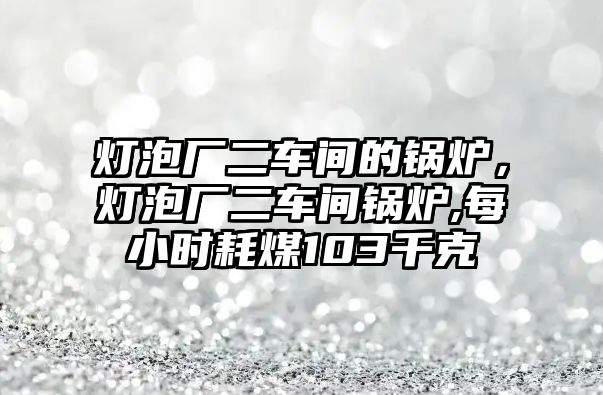 燈泡廠二車間的鍋爐，燈泡廠二車間鍋爐,每小時耗煤103千克