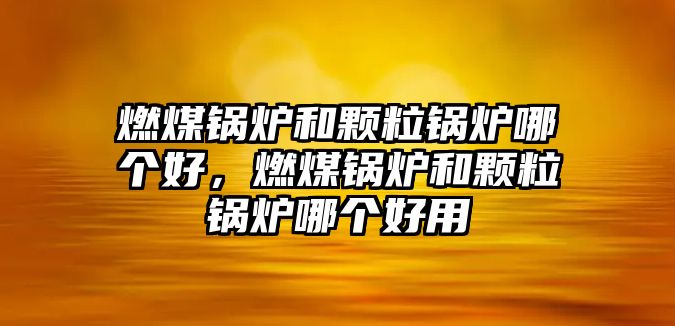 燃煤鍋爐和顆粒鍋爐哪個(gè)好，燃煤鍋爐和顆粒鍋爐哪個(gè)好用