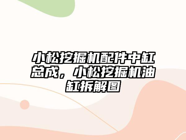 小松挖掘機配件中缸總成，小松挖掘機油缸拆解圖