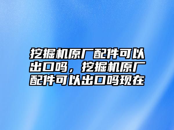 挖掘機原廠配件可以出口嗎，挖掘機原廠配件可以出口嗎現在