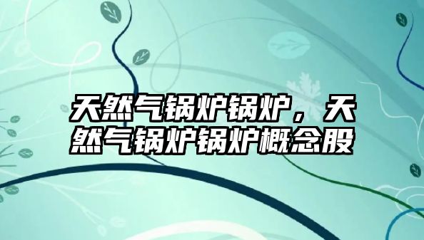 天然氣鍋爐鍋爐，天然氣鍋爐鍋爐概念股