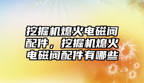 挖掘機(jī)熄火電磁閥配件，挖掘機(jī)熄火電磁閥配件有哪些