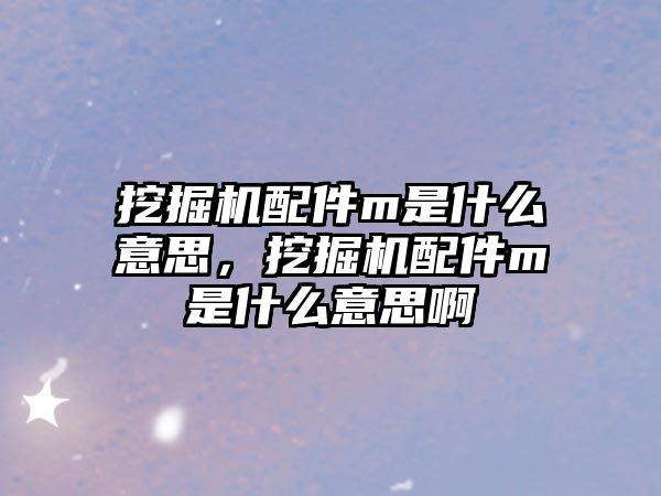 挖掘機配件m是什么意思，挖掘機配件m是什么意思啊