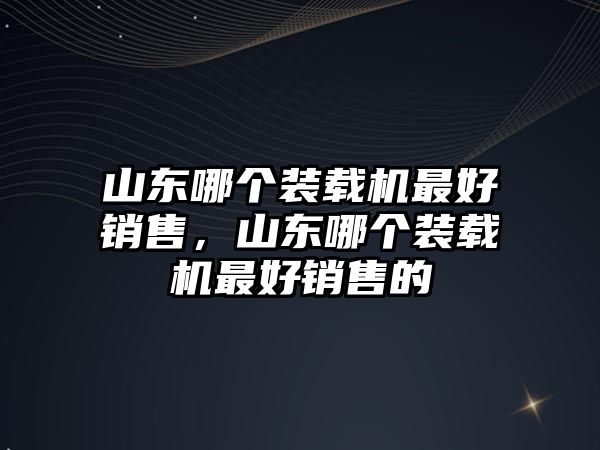 山東哪個裝載機最好銷售，山東哪個裝載機最好銷售的