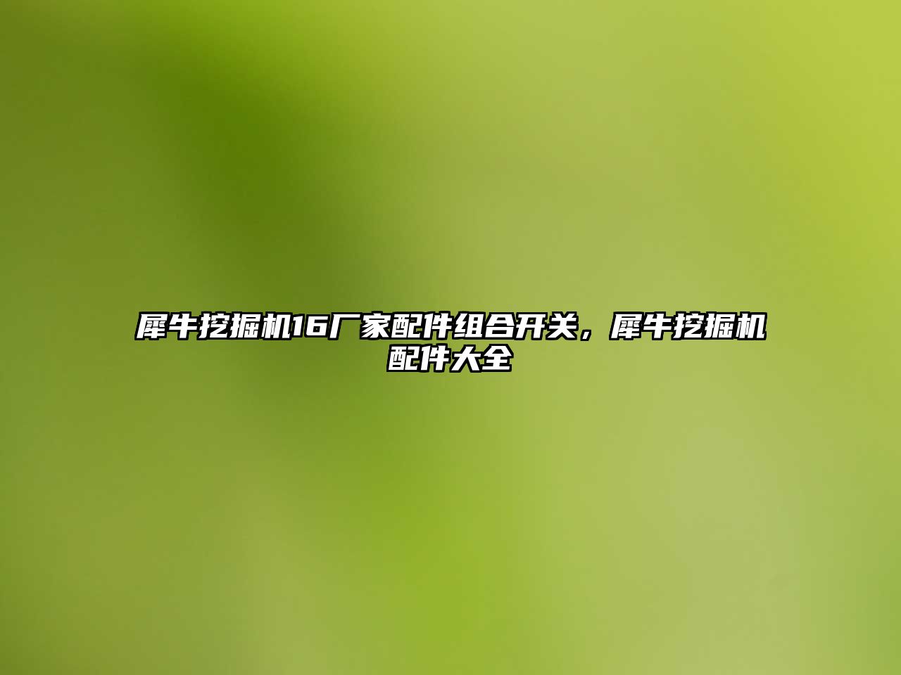 犀牛挖掘機16廠家配件組合開關(guān)，犀牛挖掘機配件大全