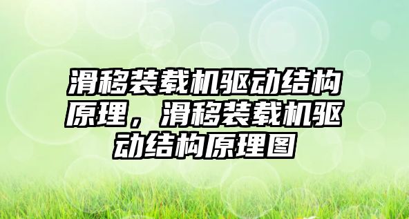 滑移裝載機驅(qū)動結(jié)構(gòu)原理，滑移裝載機驅(qū)動結(jié)構(gòu)原理圖