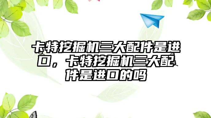 卡特挖掘機三大配件是進口，卡特挖掘機三大配件是進口的嗎