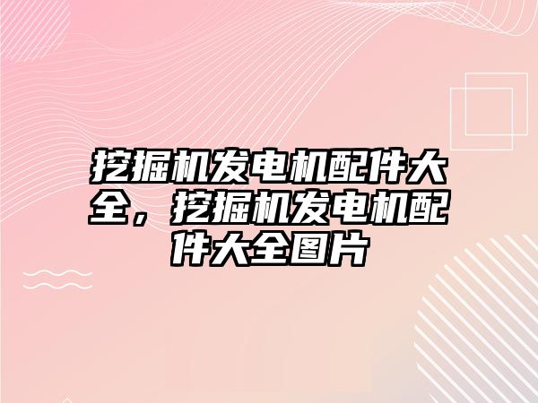 挖掘機發(fā)電機配件大全，挖掘機發(fā)電機配件大全圖片