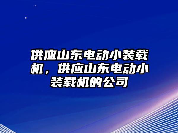 供應山東電動小裝載機，供應山東電動小裝載機的公司