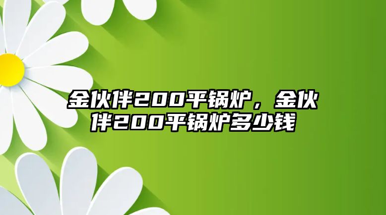 金伙伴200平鍋爐，金伙伴200平鍋爐多少錢(qián)