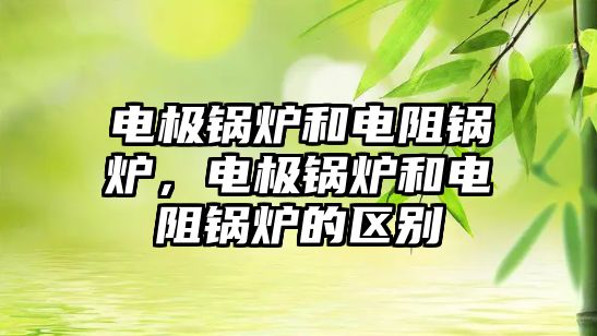 電極鍋爐和電阻鍋爐，電極鍋爐和電阻鍋爐的區(qū)別