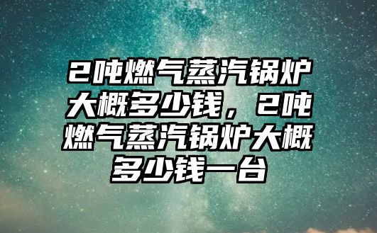 2噸燃氣蒸汽鍋爐大概多少錢，2噸燃氣蒸汽鍋爐大概多少錢一臺