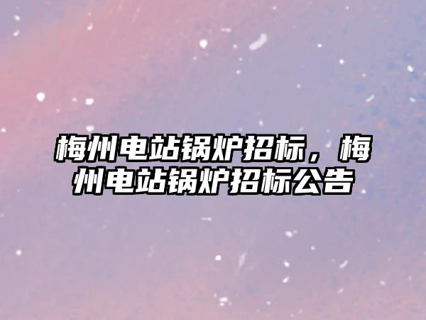 梅州電站鍋爐招標，梅州電站鍋爐招標公告