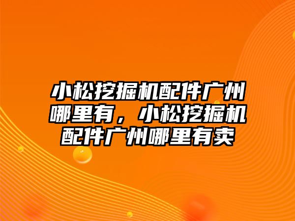 小松挖掘機配件廣州哪里有，小松挖掘機配件廣州哪里有賣