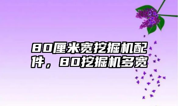 80厘米寬挖掘機配件，80挖掘機多寬