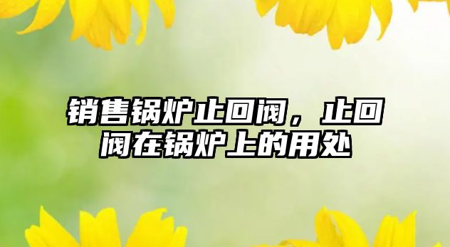 銷售鍋爐止回閥，止回閥在鍋爐上的用處