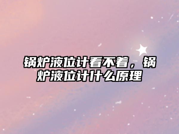 鍋爐液位計看不著，鍋爐液位計什么原理