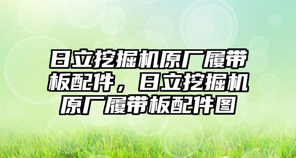 日立挖掘機(jī)原廠履帶板配件，日立挖掘機(jī)原廠履帶板配件圖