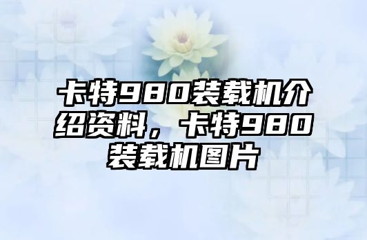 卡特980裝載機(jī)介紹資料，卡特980裝載機(jī)圖片