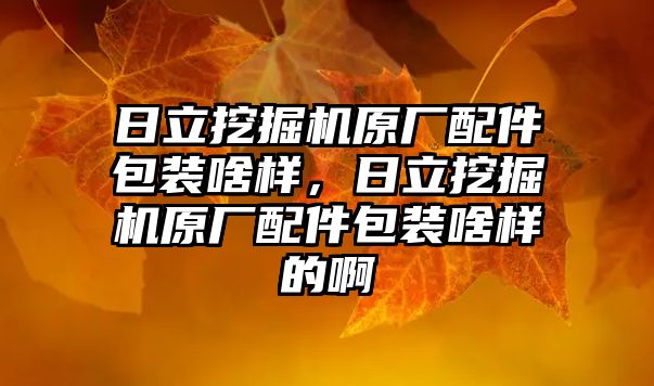 日立挖掘機原廠配件包裝啥樣，日立挖掘機原廠配件包裝啥樣的啊